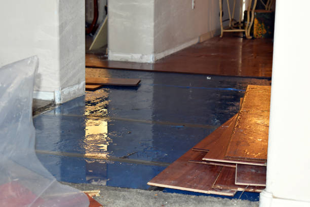 Professional Basement Flood Cleanup technician working in Santaquin, UT
